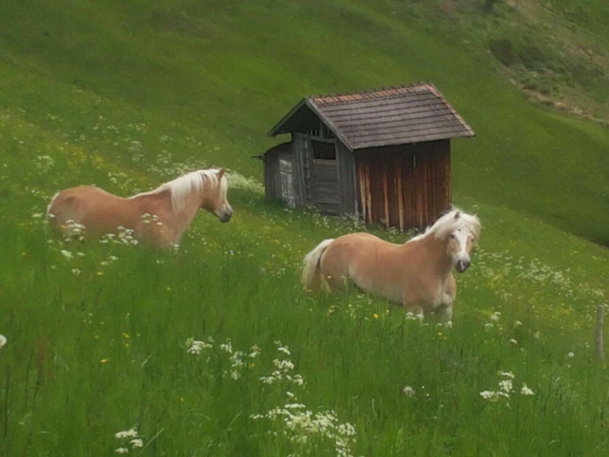 Apart.Pitztal Arzl im Pitztal Exterior foto